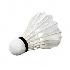 Badmintonové míčky S505-12 WISH 12 ks