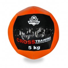 Wall ball DBX Bushido 5 kg