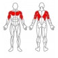 Variabilní posilovací lavice MP-L202 Marbo Sport Variabilní posilovací lavice MP-L202 Marbo Sport
