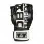 MMA rukavice ARM-2023 DBX Bushido