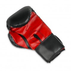 Boxerské rukavice ARB-407 DBX Bushido