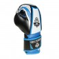 Boxerské rukavice ARB407v1 DBX Bushido, 6 oz.