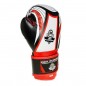 Boxerské rukavice ARB407v2 DBX Bushido, 6 oz.