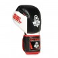 Boxerské rukavice B-2v11a DBX Bushido Boxerské rukavice B-2v11a DBX Bushido