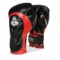 Boxerské rukavice BB4 DBX Bushido Boxerské rukavice BB4 DBX Bushido