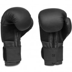 Boxerské rukavice B-2v12 DBX Bushido