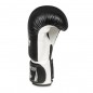 Boxerské rukavice ARB-407a DBX Bushido Boxerské rukavice ARB-407a DBX Bushido