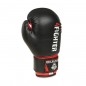 Boxerské rukavice ARB-407v3 DBX Bushido Boxerské rukavice ARB-407v3 DBX Bushido