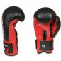 Boxerské rukavice ARB-407v3 DBX Bushido Boxerské rukavice ARB-407v3 DBX Bushido