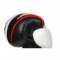Boxerské rukavice B-2v7 DBX Bushido Boxerské rukavice B-2v7 DBX Bushido