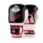 Boxerské rukavice DBD-B-2 v3 DBX Bushido Boxerské rukavice DBD-B-2 v3 DBX Bushido