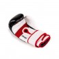 Boxerské rukavice DBD-B-2 v3 DBX Bushido Boxerské rukavice DBD-B-2 v3 DBX Bushido