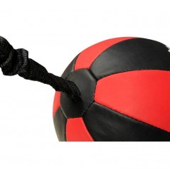 Horizontální reflexní míč DBX-SB-2 DBX Bushido