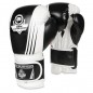 Boxerské rukavice B-2v3A DBX Bushido Boxerské rukavice B-2v3A DBX Bushido