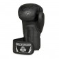 Boxerské rukavice B-2v18 DBX Bushido Boxerské rukavice B-2v18 DBX Bushido