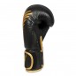 Boxerské rukavice B-2v17 DBX Bushido Boxerské rukavice B-2v17 DBX Bushido