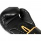 Boxerské rukavice B-2v17 DBX Bushido Boxerské rukavice B-2v17 DBX Bushido