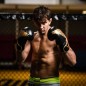Boxerské rukavice B-2v17 DBX Bushido Boxerské rukavice B-2v17 DBX Bushido