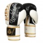 Boxerské rukavice B-2V16 DBX Bushido Boxerské rukavice B-2V16 DBX Bushido
