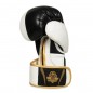 Boxerské rukavice B-2V16 DBX Bushido Boxerské rukavice B-2V16 DBX Bushido