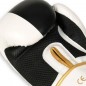 Boxerské rukavice B-2V16 DBX Bushido Boxerské rukavice B-2V16 DBX Bushido