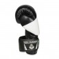 Boxerské rukavice B-2v6 DBX Bushido Boxerské rukavice B-2v6 DBX Bushido