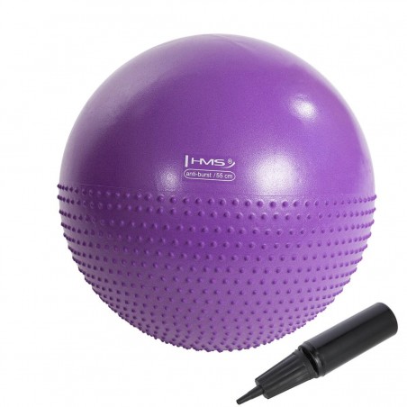Masážní gymnastický míč YB03 HMS, 55 cm, fialový