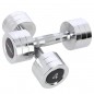Chromované činky CHD04 HMS 2 x 4 kg Chromované činky CHD04 HMS 2 x 4 kg