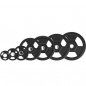 Olympijský kotouč TOH02 HMS, 2,5 kg Olympijský kotouč TOH02 HMS, 2,5 kg