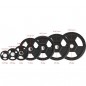 Olympijský kotouč TOH02 HMS, 2,5 kg Olympijský kotouč TOH02 HMS, 2,5 kg