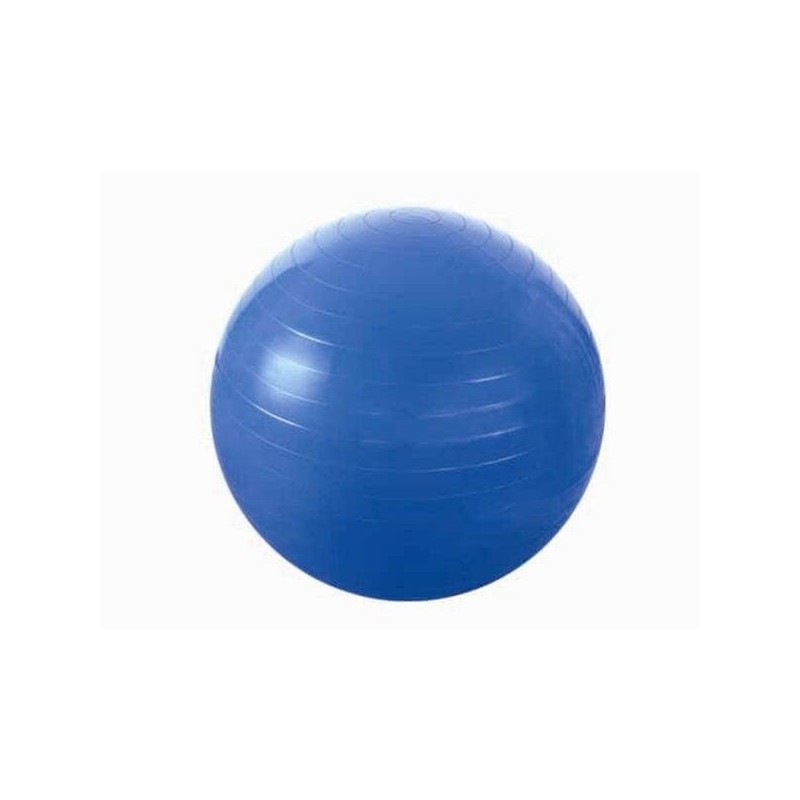 Gymnastický míč YB01 HMS, 55 cm, modrý