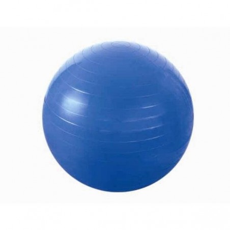 Gymnastický míč YB01 HMS, 55 cm, modrý