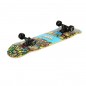 Skateboard CR3108 Color Worms 2 NILS Extreme