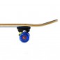 Skateboard CR3108SB SK8BOY NILS Extreme