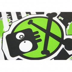 Skateboard CR3108 SA Point NILS Extreme